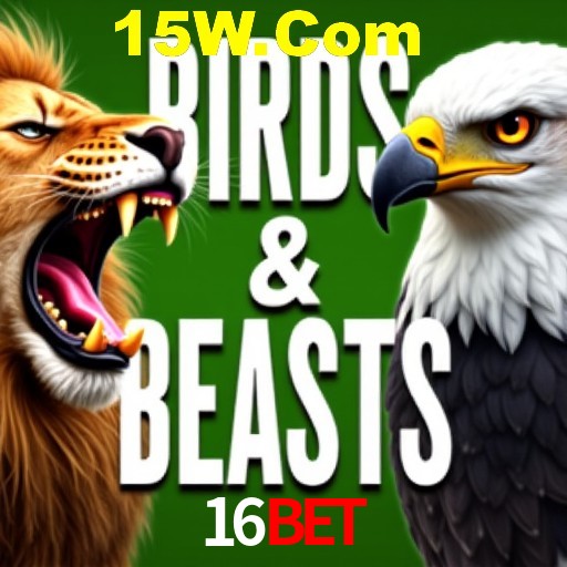 Estatísticas Crash Games 16Bet